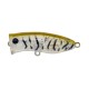 Harp Popper 40 MH-601 Tiger Shrimp