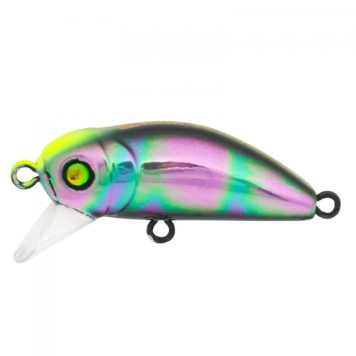 Bidik 35 X-124 Spin Star Bidik 35 X-124 Spin Star