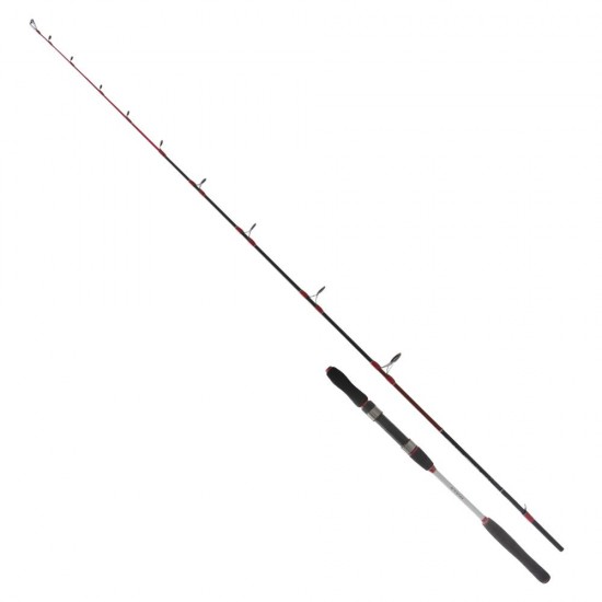 Ryuji Searider 1.80M 60-180Gr 2P Jig Kamis (RYJSRDR180)