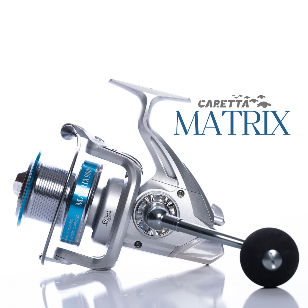 Caretta Matrix 9000 Blue And Silver