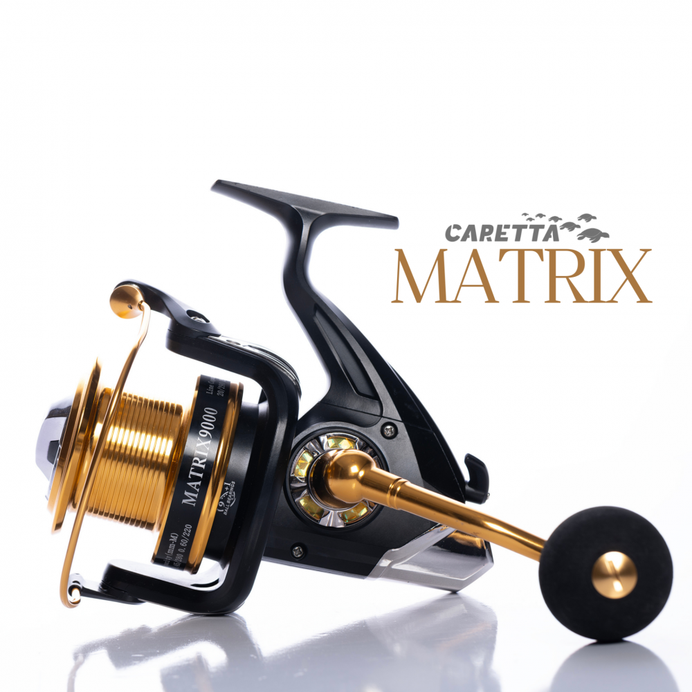 Caretta Matrix 9000 Black And Gold