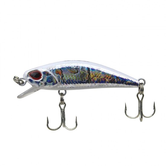 Sea Horse Rs5-Sparkle 50Mm 4Gr Whl-01# Sea Horse Rs5-Sparkle 50Mm 4Gr Whl-01#