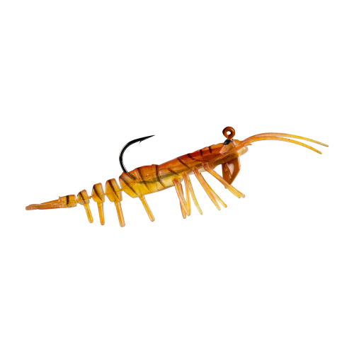 Baby Teke TKJ-100 Honey Shrimp Baby Teke TKJ-100 Honey Shrimp