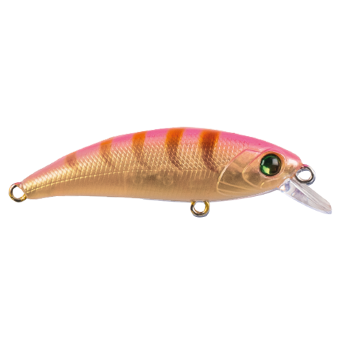 Zipir SPK-01 Special Shrimp Zipir SPK-01 Special Shrimp